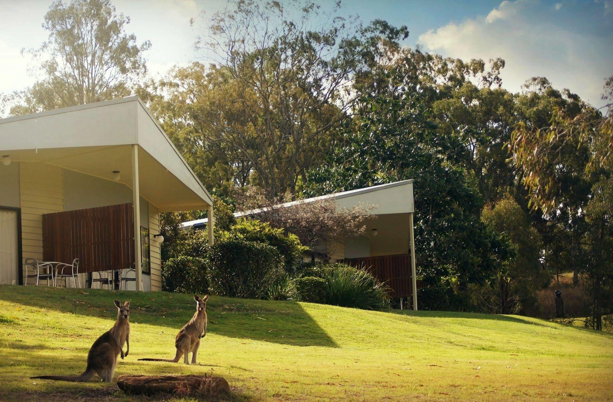 Boonah Valley Motel Экстерьер фото